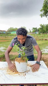 What happens if you plant a tree upside down? #AmaZing #mrhelal #reels #experiment | MrHelal