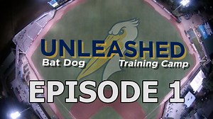 1K views · 48 reactions | Follow along this 4-part series as Pelicans bat dog Slider prepares for the 2022 season. The goal? To be the best bat dog in Minor League Baseball. Episode 1 features his return to the ballpark and the work ahead in the two months before Opening Night. | Myrtle Beach Pelicans | Facebook