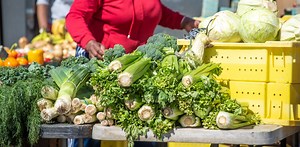 These four challenges will shape the next farm bill – and how the US eats