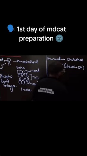Starting Your MDCAT Preparation Journey