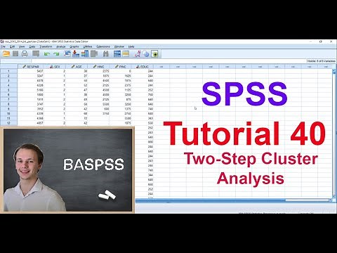 SPSS #40 Two-Step Cluster Analysis