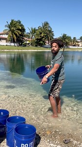 2M views · 83K reactions | Good water makes for good plants…We’re taking pre-orders for the physical copy of my new book “The More We GROW The More We’ll Se EVERYTHING We Need Is FREE” The sale link is on the top of my homepage underneath my profile picture. Sale valid for a limited time. PrayersBlessings #water | Jabez Invests | Facebook