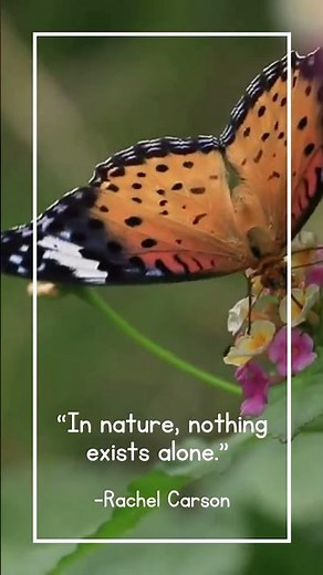 Beautiful Inspirational Gardening Quotes [Our 10 Favorites!]