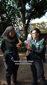 The best way to end a day at Singapore Zoo? Walking alongside our adorable animal friends at the Pack Walk in KidzWorld! Join Natalie and her crew as she brings you around to meet our friendly pack of furry (and feathery) friends that call KidzWorld home. 🐕🐀🦜 🚩 Pack Walk 🗓️ Daily, 4:15pm 📍 Animal Buddies Theater, KidzWorld A big shout-out to EtonHouse International Schools and Pre-Schools for sponsoring the Pack Walk! #MandaiWildlifeReserve #SingaporeZoo #KidzWorldatSZ | Mandai Wildlife Re