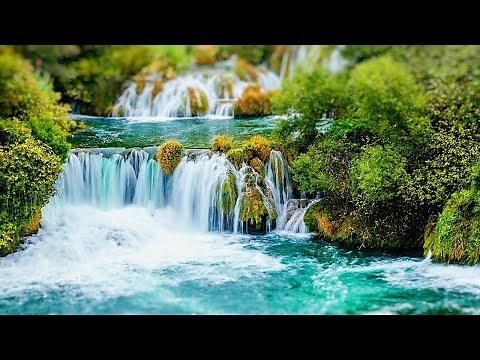 Ney Sesi ile Suyun Terapisi: Akarsu ve Kuş Sesleri ile Rahatlatıcı Meditasyon