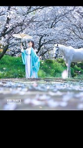 Under the Cherry Blossom #photoshop #adobefirefly #generativefill #adobeai #photoshopai #GenerativeArt #cherryblossom | Kou Yang