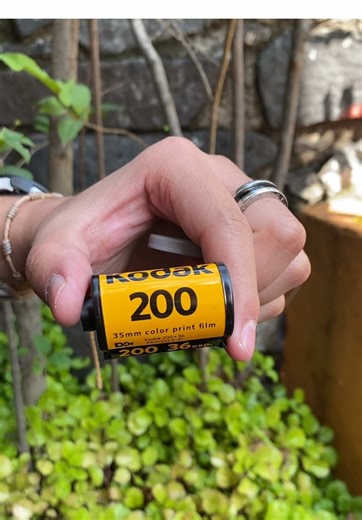 Instantes callejeros 4 ~ Lab: @fotograma.filmlab 📍Tlalpan, CDMX y Barrio Antiguo, Monterrey Cámara: Canon AE-1 Program Film: Kodak Gold Song: @The Sways #photographer #stairs #street #cat #film