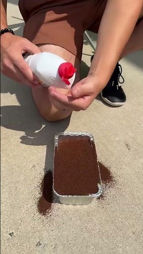 How to keep bugs away on your patio! 🤯