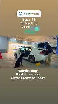 Service Dog Certification: Test #1 - Unloading Protocol 🚗🐾. #publicaccesstest #servicedog