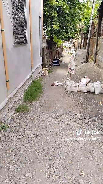 Angelo Carungay on TikTok