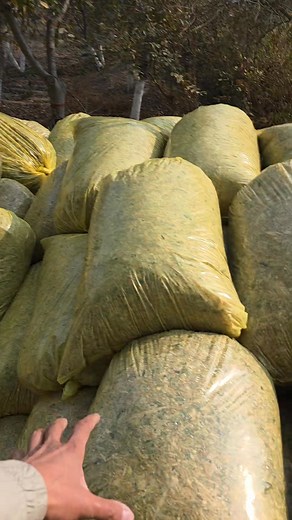 #silos #silosnarxlari #силос #силоснархлари | Bozor va biznes