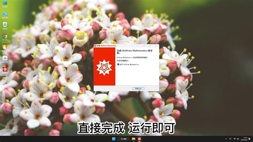 最详细的Mathematica 14安装教程，Mathematica 14从下载到使用教学