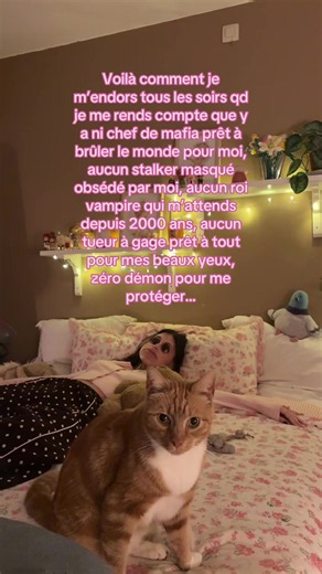 Comment je m’endors sans anti-héros: roman romance et fantasmes nocturnes