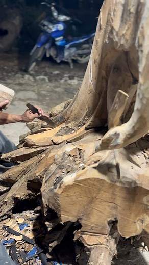 20K views · 273 reactions | Starting to add time for the peacock carving work #woodworking #ideas | Bumi Karya Jati | Facebook