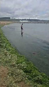 Beykoz Riva Fails the Test! Outrage Over Pollution at Riva Beach
