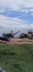 6.9M views · 10K reactions | Catfish in the early morning Asembo bay. Lake Victoria. Kisumu. | Big zedy | Facebook