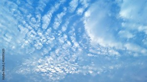 Blue sky white clouds Puffy fluffy white clouds Cumulus cloud cloudscape timelapse Summer blue sky time lapse Nature weather blue sky White clouds background