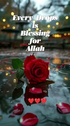 Islamic || best Allah quotes