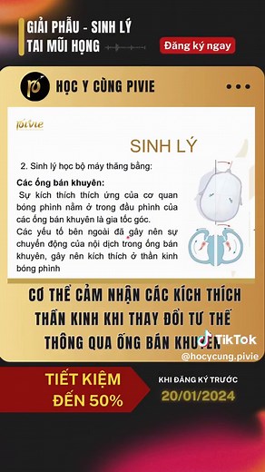 Theo dõi fanpage Trường trực tuyến Pivie để có thêm nhiều thông tin Y khoa hữu ích nhé! #pivie #hocycungpivie #kienthucykhoa #sinhvieny #ykhoa #learnontiktok #fyp #viral