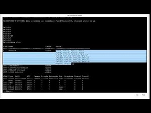 "VLAN Configuration with DHCP Setup | Step-by-Step Guide for Beginners"