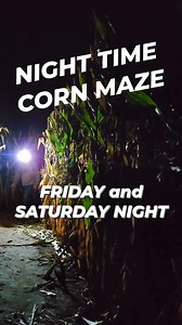 15K views · 98 reactions | You only have a few more chances this season to experience our corn maze at night! Bring your flashlights, headlamps, lanterns and glow sticks... The Night Time Corn Maze is open this weekend and next (Oct 17, 18, 24, and 25). The last entrance is at 9:00 p.m.! | Schuett Farms | Facebook
