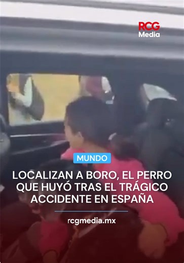 🐶❤️‍🩹El perro Boro fue localizado con vida tras haber huido luego del trágico accidente ferroviario ocurrido en el sur de #España, que dejó decenas de víct1mas. Su desaparición generó una amplia movilización en redes sociales después de que su dueña, Ana García, pidiera ayuda públicamente. Bomberos forestales confirmaron su hallazgo, lo que permitió un emotivo reencuentro que dio un respiro de esperanza en medio del luto nacional. Aunque Boro se encuentra a salvo, la familia continúa pendiente