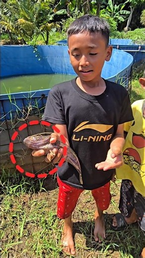 BOCIL HEBOH DAPAT IKAN MISTERIUS😱