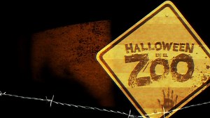 Halloween en el Zoo del 26 de Octubre al 5 de Noviembre. Familiar por la mañana, mayores de 13 años apartir de las 7:00 PM un evento lleno de sorpresas, diversión y sustos. | Halloweenzoo