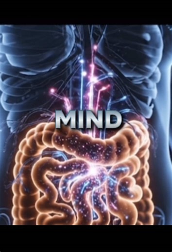 Understanding the Gut-Brain-Vagus Nerve Connection