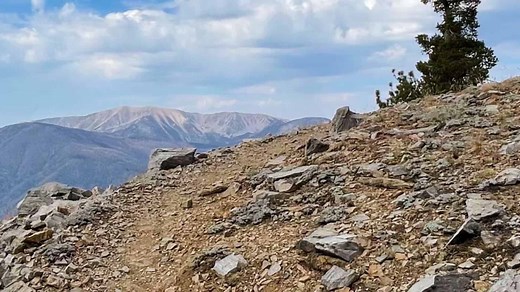 Sugarloaf Mountain Trail Guide - Big Bear