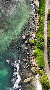 4.6K views · 81 reactions | Dive into paradise and explore Barbados from a bird's-eye view. From crystal-clear waters to lush green spaces, there are many ways to enjoy our island's views and hues. : Martin’s Bay, St. John : @ryan.runolds #VisitBarbados #LoveBarbados #MyBarbados | Visit Barbados | Facebook