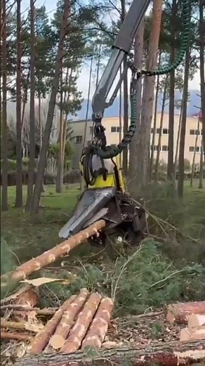 The Most Powerful Tree Cutting Machine Ever!