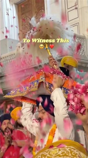 🙏#blessed #waheguru #amritsar #goldentemple #lucky #shortsyoutube #youtubeshorts #shorts #trending