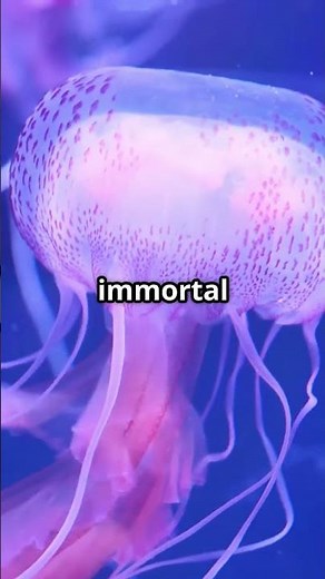 10 Mind-Blowing Things You Won't Believe Exist!