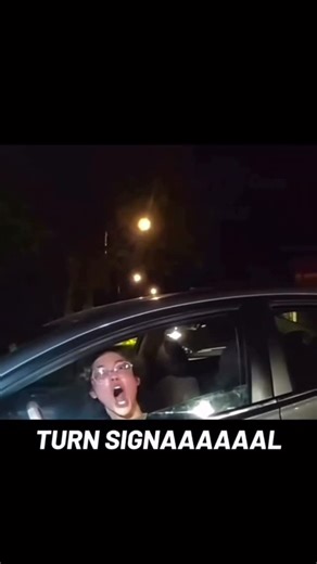 𝐇𝐄𝐑 𝐋𝐀𝐒𝐓 𝐒𝐈𝐆𝐇𝐓 on Instagram: "You really need to chill bro 😳 Song: Her Last Sight & The Curse Within - “Dead End”"