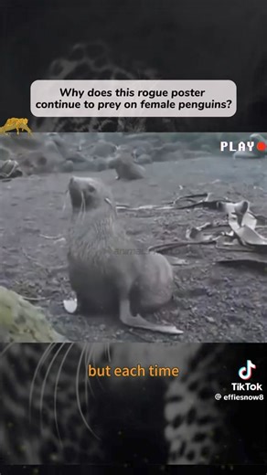 2M views · 4.2K reactions | Barbara was tired of men taking from her…...