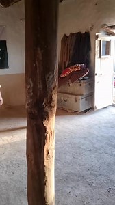 148K views · 4.9K reactions | Kale WATAN - Village Home | Pathan | Facebook