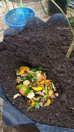 “Cara Manfaatkan Sampah Dapur Jadi Pupuk Organik 🌱 #berkebun #organic”