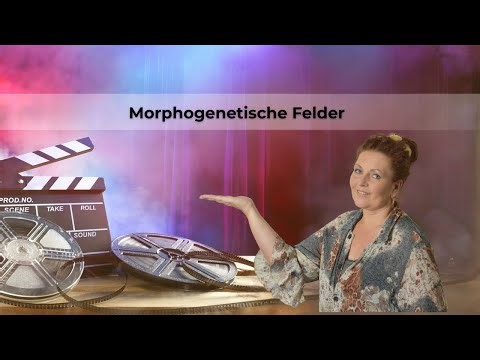 Understanding and experiencing morphogenetic fields | Explanation and guided exercise