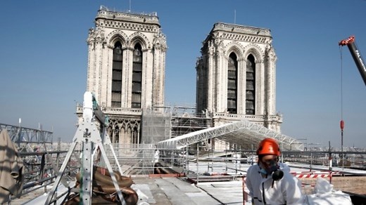 Rebuilding Notre-Dame cathedral... with 1,000 oak trees