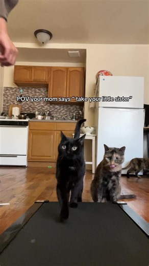 Funny Moments with Archie and His Little Sister