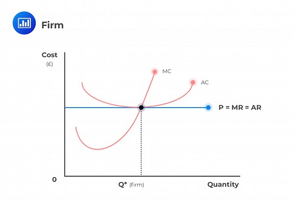 Price, Marginal Cost & Revenue | CFA Level 1