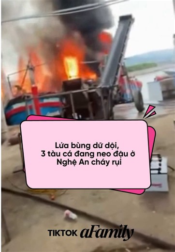 Một tàu cá đang neo đậu bất ngờ bốc cháy rồi lan sang các phương tiện bên cạnh tại khu vực Lạch Quèn, xã Quỳnh Phú (Nghệ An), khiến 3 tàu bị hư hỏng nặng, sáng 30/6. #afamilyngaylucnay #afamily #nghean #tauca #ngudan