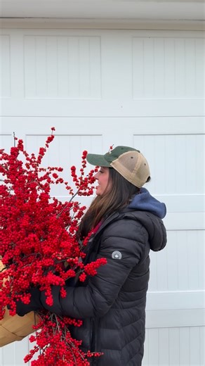 How lucky am I that the man my Mom married had the forethought and vision to plant an entire field of winterberries years ago… never knowing his future stepdaughter would one day be out here snipping them for wreaths, grave blankets, and all things festive. ❤️🌿 Some blessings grow quietly until the moment you need them. We have some branches available to purchase in the sales shop. | Quarter Pine Tree Farm