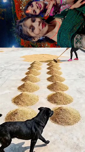 Good morning ii ✨️ ☺️ 😊 ❤️ 💕 ♥️ ✨️ ☺️ | Urmila Kewat