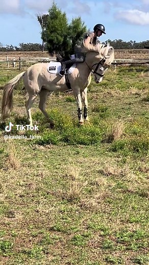 Funny Horse Riding Fails and Falls Compilation