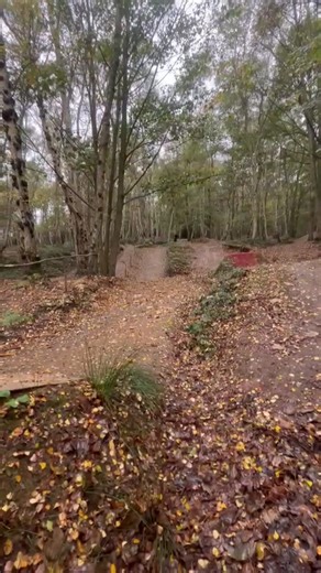 ່ (@tyler.shepp)’s videos with original sound - PRODBYAZ