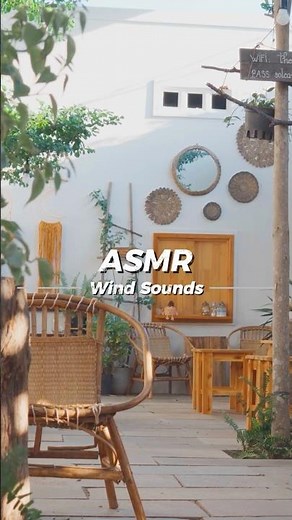 🌬️Gentle Wind in a Cozy Cafe☕ | Relaxing Coffee Shop Wind Sounds for Study, Sleep (No Music, ASMR)