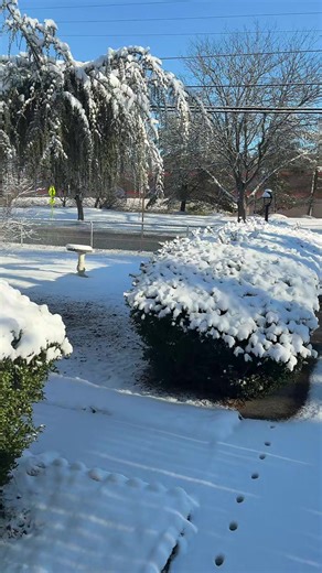 Snow flakes#now #snowday #winter #stoemsurge #snowday
