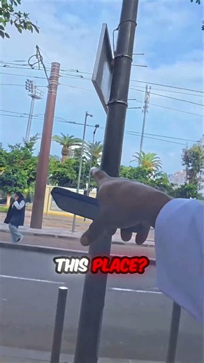 Get lost in the wild streets of Casablanca! Is this the city's wealthiest area? 🇲🇦